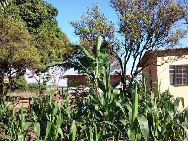 Terreno venda em Nova Odessa, Centro
