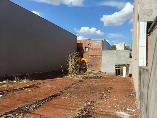 Terreno venda em Nova Odessa