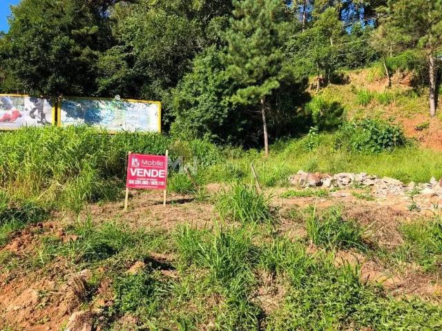 Terreno venda em Região Geográfica Imediata de Caxias do Sul, Nova Petrópolis