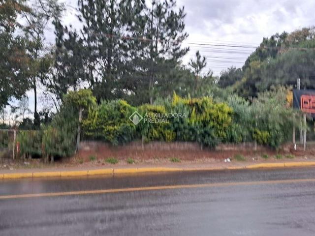 Terreno venda em Região Geográfica Imediata de Porto Alegre, Região Metropolitana de Porto Alegre