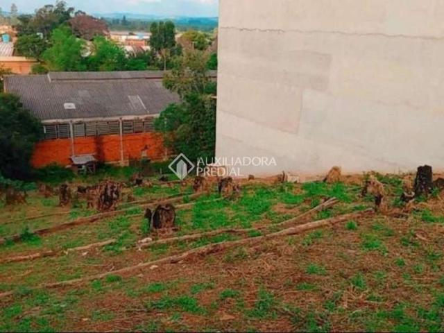 Terreno venda em Novo Hamburgo