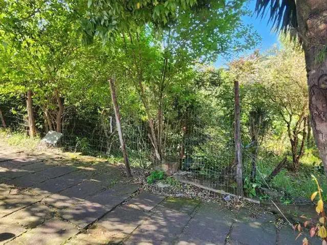 Terreno venda em Região Geográfica Imediata de Novo Hamburgo - São Leopoldo, Região Metropolitana de Porto Alegre