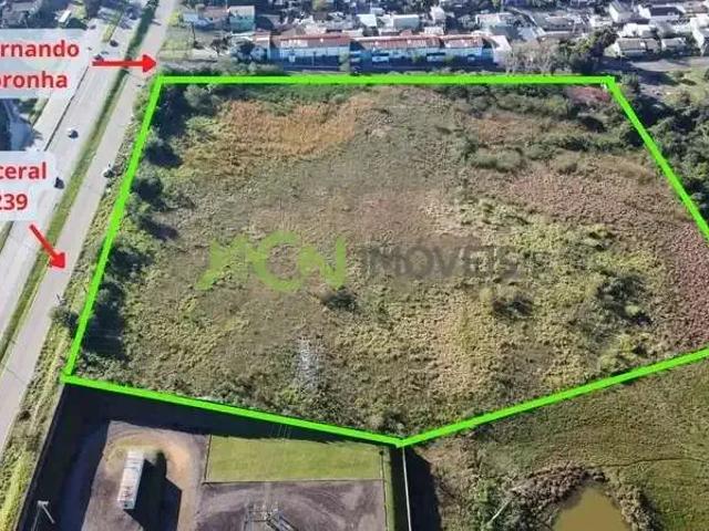 Terreno venda em Região Geográfica Imediata de Novo Hamburgo - São Leopoldo, Região Metropolitana de Porto Alegre