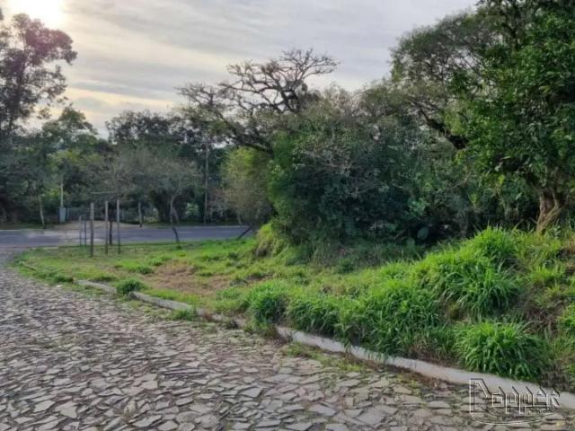 Terreno venda em Região Geográfica Imediata de Novo Hamburgo - São Leopoldo, Região Metropolitana de Porto Alegre