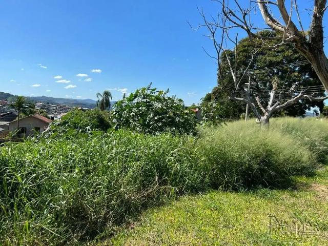 Terreno venda em Região Geográfica Imediata de Novo Hamburgo - São Leopoldo, Região Metropolitana de Porto Alegre