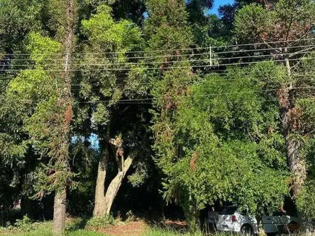 Terreno venda em Região Geográfica Imediata de Novo Hamburgo - São Leopoldo, Região Metropolitana de Porto Alegre