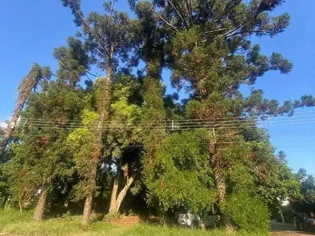 Terreno venda em Região Geográfica Imediata de Novo Hamburgo - São Leopoldo, Região Metropolitana de Porto Alegre