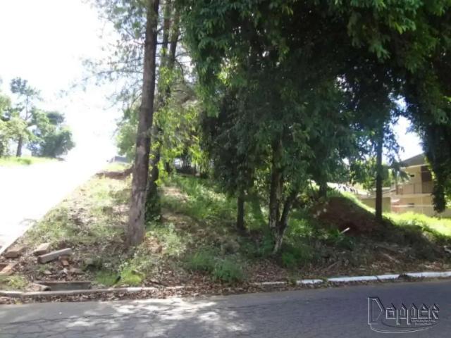 Terreno venda em Região Geográfica Imediata de Novo Hamburgo - São Leopoldo, Região Metropolitana de Porto Alegre