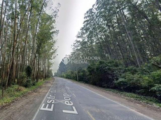 Terreno venda em Região Geográfica Imediata de Novo Hamburgo - São Leopoldo, Região Metropolitana de Porto Alegre