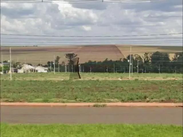 Terreno venda em Região Geográfica Imediata de Maringá, Paiçandu