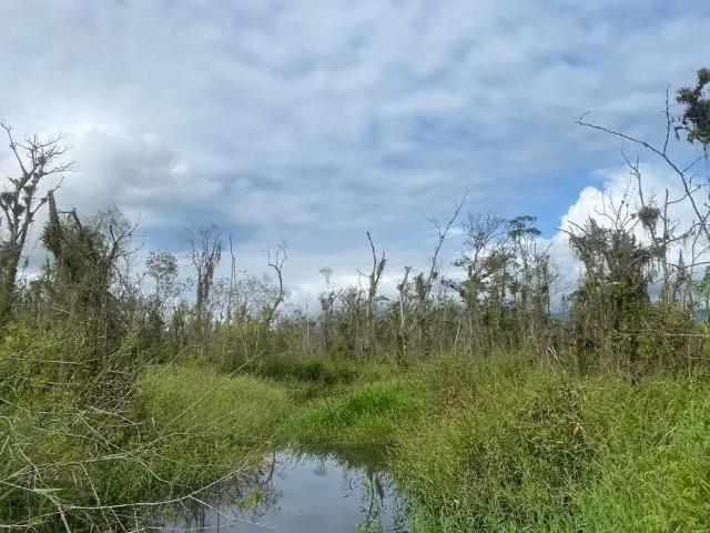 Terreno venda em Paranaguá, Região Geográfica Intermediária de Curitiba