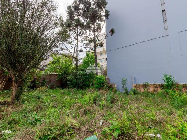 Terreno venda em Passo Fundo