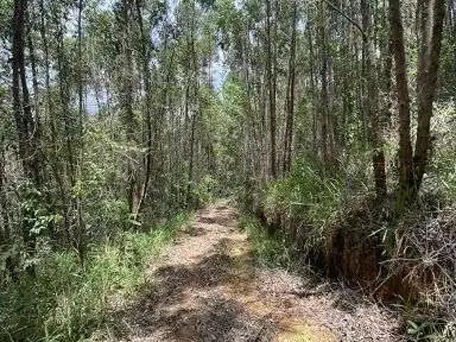 Terreno venda em Nova Hartz
