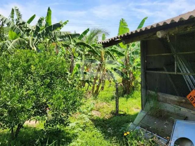 Terreno venda em Região Geográfica Imediata de Florianópolis, Palhoça