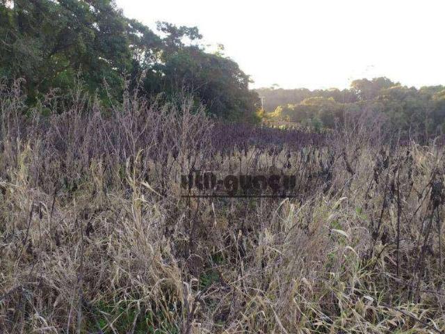 Terreno venda em Região Imediata de Sorocaba, Região Metropolitana de Sorocaba
