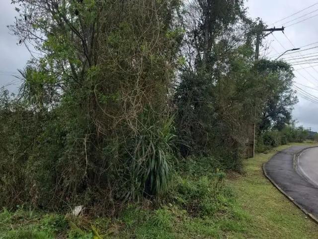 Terreno venda em Região Geográfica Imediata de Curitiba, Pien