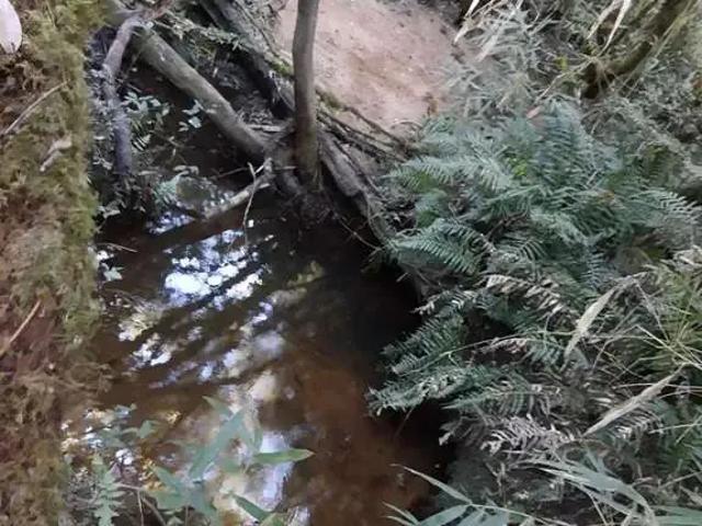 Terreno venda em Região Geográfica Imediata de Curitiba, Região Metropolitana de Curitiba