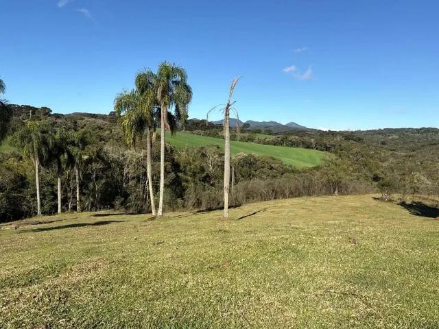 Terreno venda em Região Geográfica Imediata de Curitiba, Região Metropolitana de Curitiba