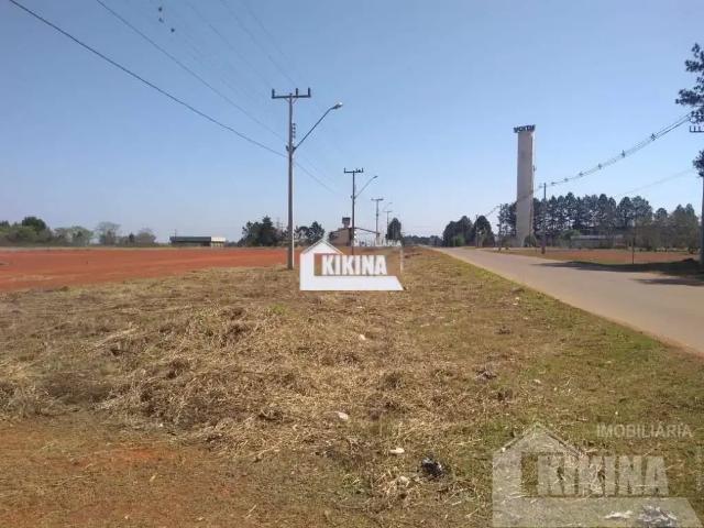 Terreno venda em Cará-Cará, Ponta Grossa