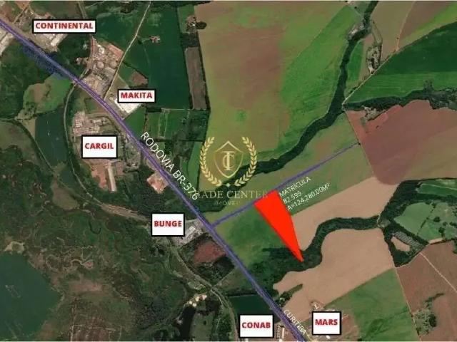 Terreno venda em Região Geográfica Imediata de Ponta Grossa, Ponta Grossa