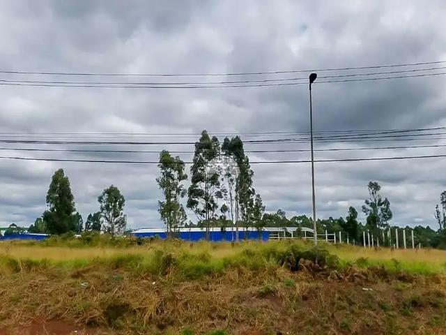 Terreno venda em Região Geográfica Imediata de Ponta Grossa, Ponta Grossa