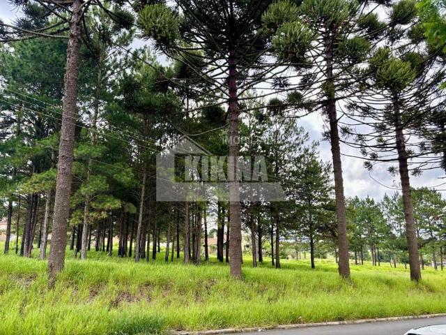 Terreno venda em Jardim Carvalho II, Ponta Grossa