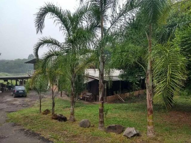 Terreno venda em Região Geográfica Imediata de Novo Hamburgo - São Leopoldo, Região Metropolitana de Porto Alegre