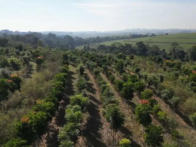Terreno venda em Região Imediata de Sorocaba, Região Metropolitana de Sorocaba