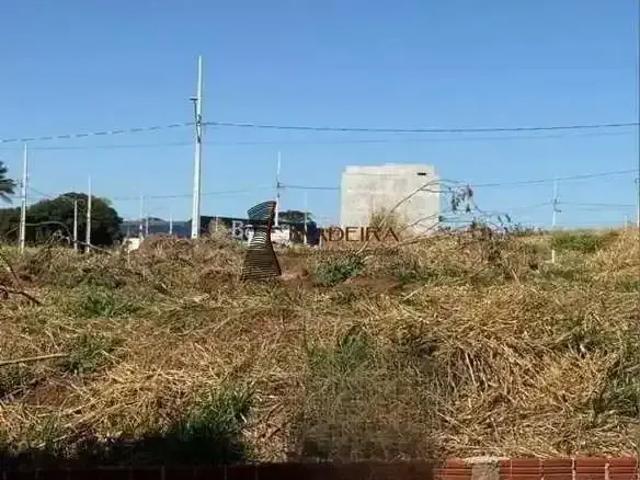 Terreno venda em Região Geográfica Imediata de Loanda, Porto Rico