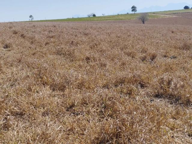 Terreno venda em Região Geográfica Imediata de Cachoeiro de Itapemirim, Presidente Kennedy