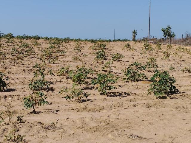 Terreno venda em Região Geográfica Imediata de Cachoeiro de Itapemirim, Presidente Kennedy