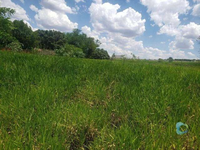 Terreno venda em Região Imediata de Ribeirão Preto, Região Metropolitana de Ribeirão Preto