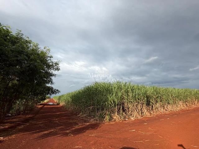 Terreno venda em Região Imediata de Ribeirão Preto, Região Metropolitana de Ribeirão Preto