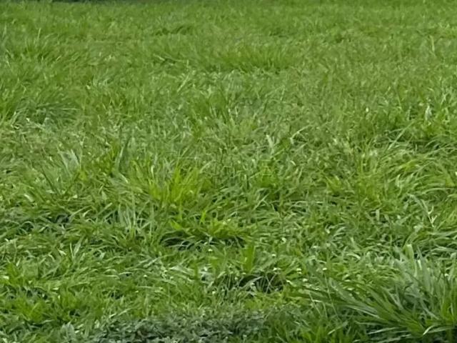 Terreno venda em Região Imediata de Ribeirão Preto, Região Metropolitana de Ribeirão Preto