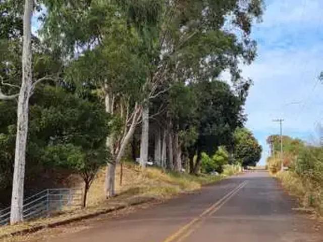 Terreno venda em Região Imediata de Ribeirão Preto, Região Metropolitana de Ribeirão Preto