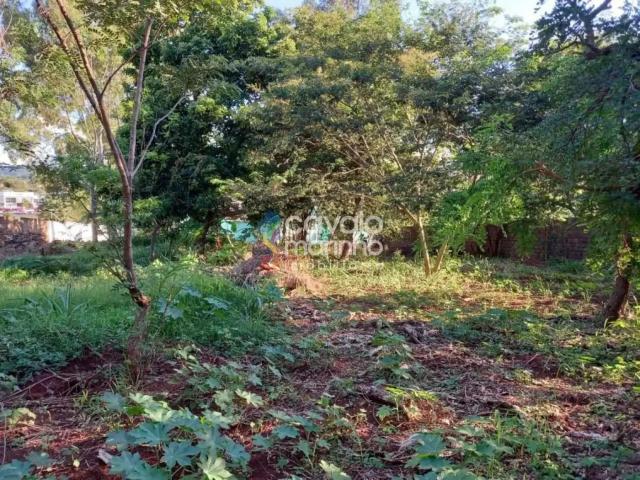 Terreno venda em Região Imediata de Ribeirão Preto, Região Metropolitana de Ribeirão Preto