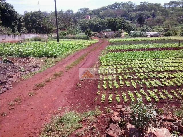Terreno venda em Região Imediata de Ribeirão Preto, Região Metropolitana de Ribeirão Preto