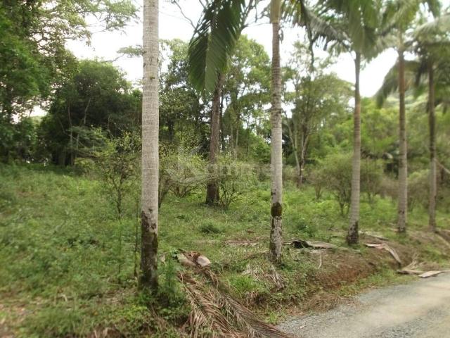 Terreno venda em Centro, São Francisco do Sul