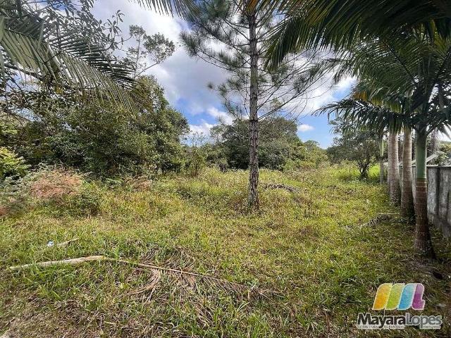 Terreno venda em Região Geográfica Imediata de Joinville, São Francisco do Sul