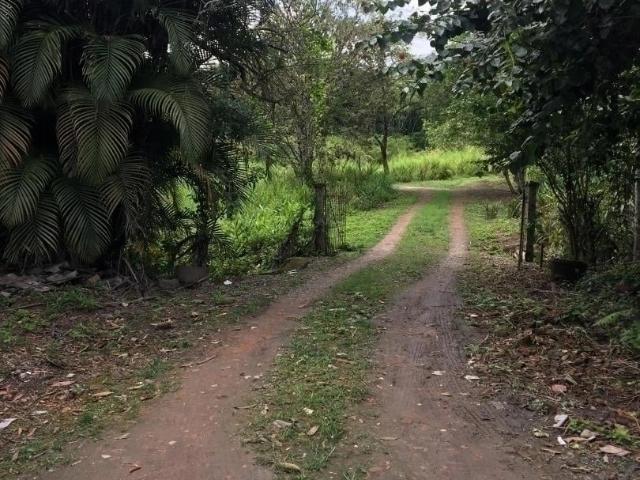 Terreno venda em Centro, São Francisco do Sul