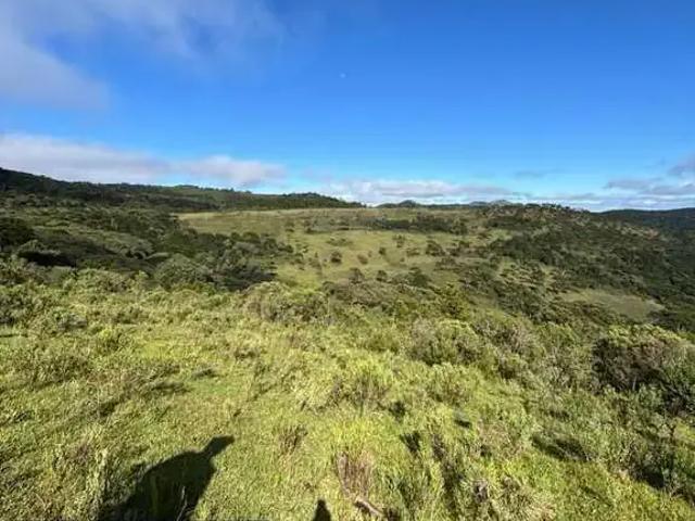Terreno venda em Região Geográfica Imediata de Lages, São Joaquim
