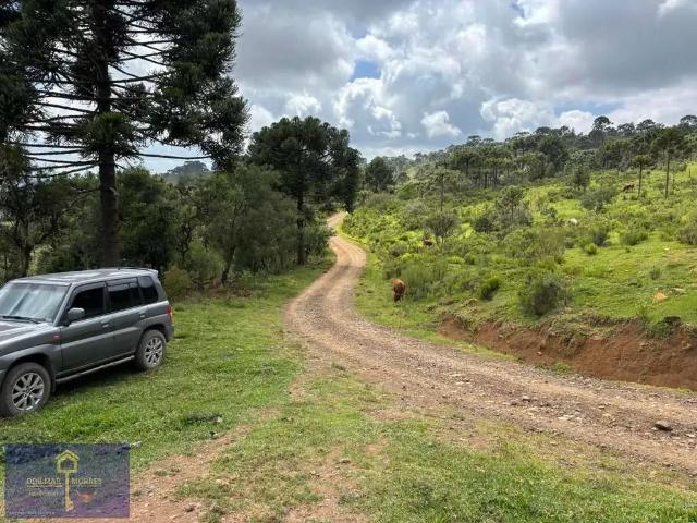 Terreno venda em Região Geográfica Imediata de Lages, São Joaquim