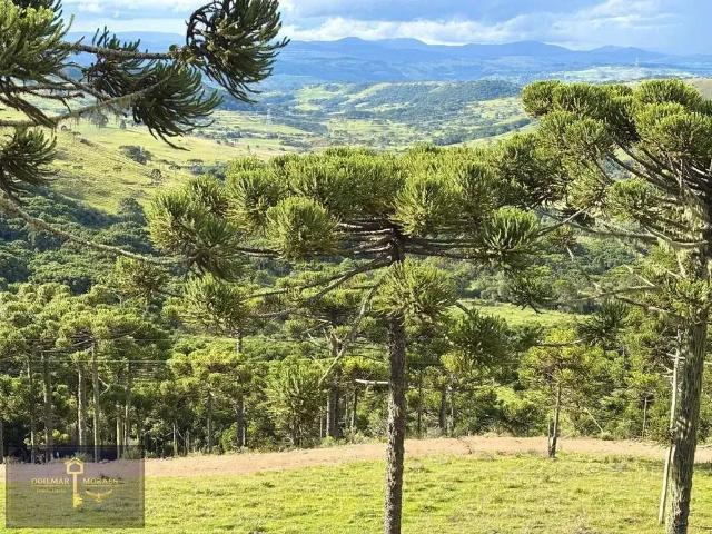 Terreno venda em Região Geográfica Imediata de Lages, São Joaquim