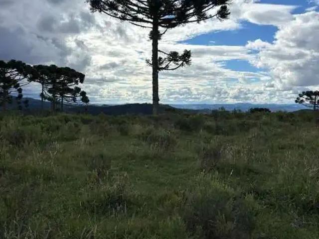 Terreno venda em Região Geográfica Imediata de Lages, São Joaquim