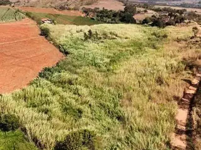 Terreno venda em Região Imediata de São José do Rio Pardo-Mococa, São José do Rio Pardo