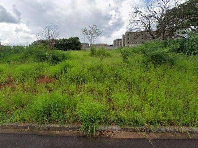 Terreno venda em Engenheiro Schmidt, São José do Rio Preto