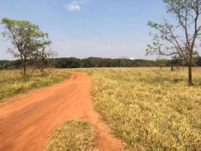 Terreno venda em Região Imediata de São José do Rio Preto, Região Metropolitana de São José do Rio Preto