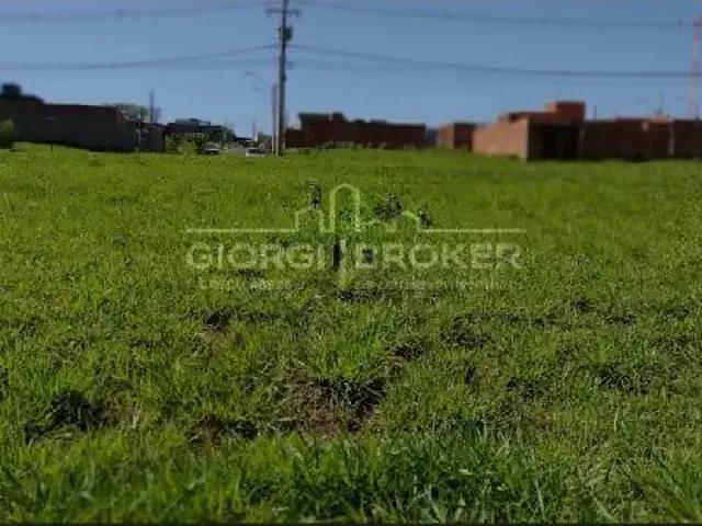 Terreno venda em Região Imediata de São José do Rio Preto, Região Metropolitana de São José do Rio Preto