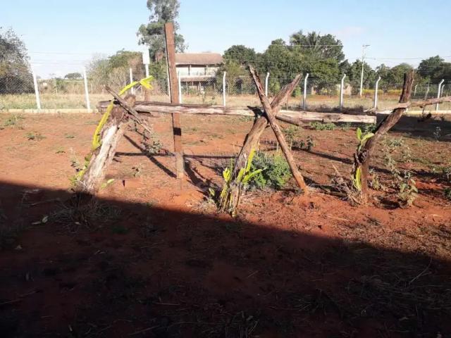 Terreno venda em Região Imediata de São José do Rio Preto, Região Metropolitana de São José do Rio Preto