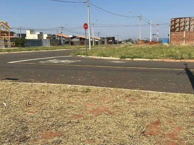 Terreno venda em São José do Rio Preto